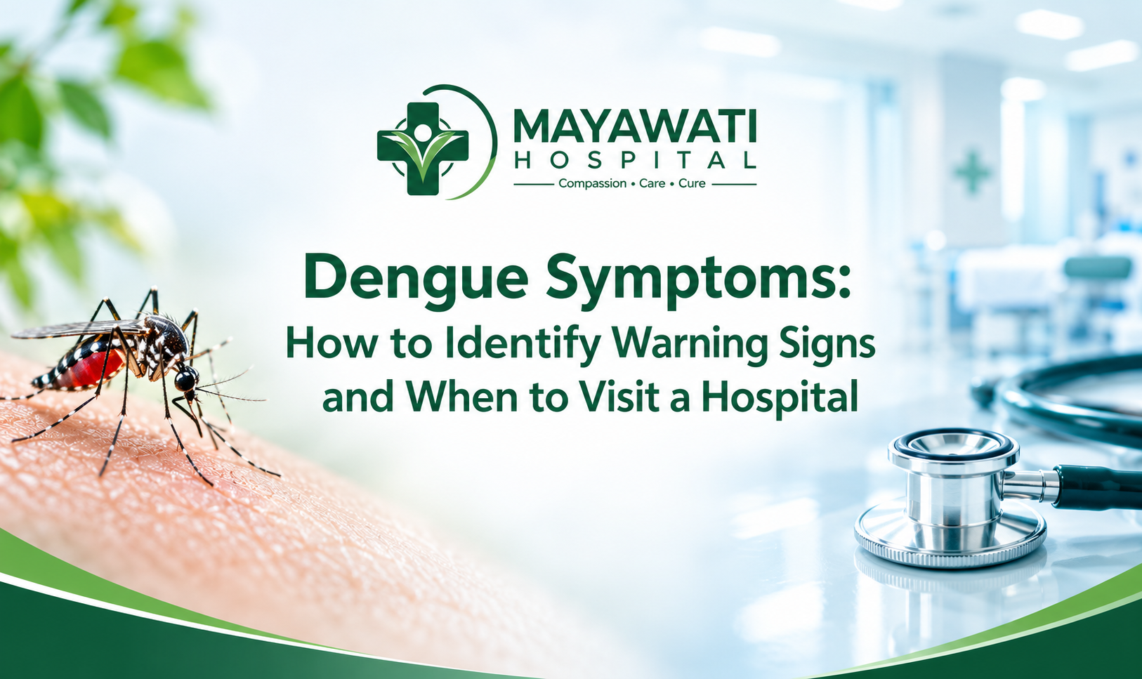 Dengue Symptoms: How to Determine the Signs and When to Go to the Hospital